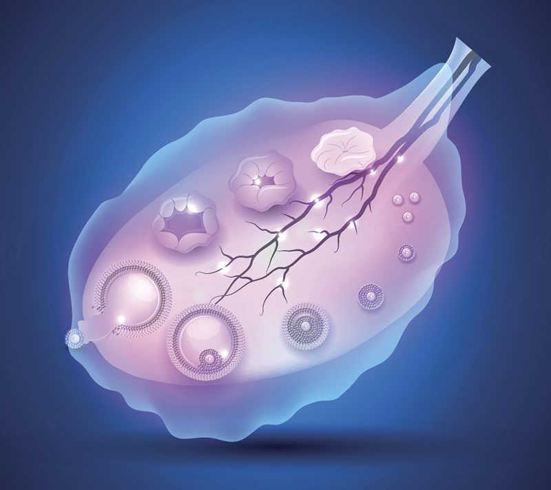 重庆生育保健院试管成功率高吗？来看下